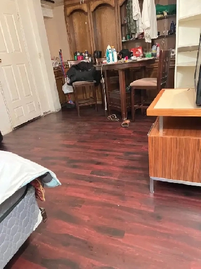 5 min walk to Whitehorn Ctrain/15 min downtown/ near Airport Image# 1