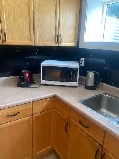 Basement Suite for rent Image# 1