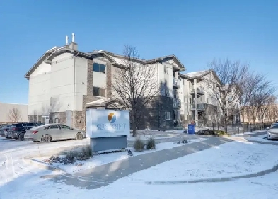 Beautiful Condo Image# 4