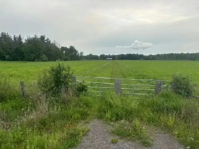 Hay Land for rent Image# 1