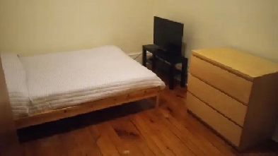 Nicely furnished room downtown available Feb 1 - female only Image# 1