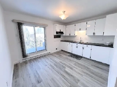 4 1/2 Ahuntsic disponible/rénové Image# 1