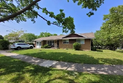 New ALL INCLUDED Brock University/PEN 1 room in Basement $ 600 Image# 1