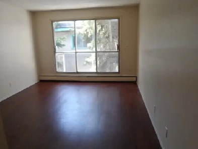 A nice and cozy 1-bedroom suite on 82 ave. Image# 1