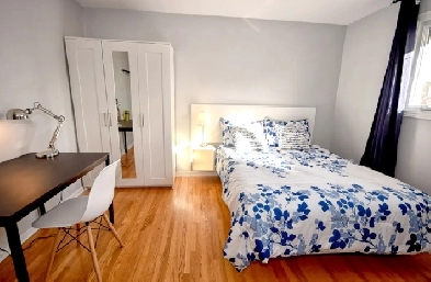 Mini Bachelor with Kitchenette & utilities -Shared main Entrance Image# 1