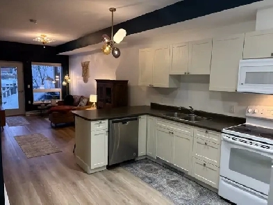 Fully furnished, pet-friendly, downtown Whitehorse Condo Image# 2