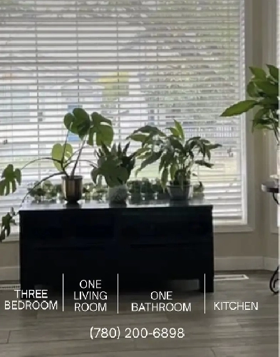 Rooms For Rent. Private Rooms by Londonderry Mall and Superstore Image# 1