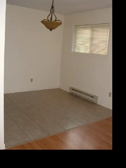 65 Biggs St., Basement Apt, Avail. Feb. 1 Adult Bldg Only Image# 1