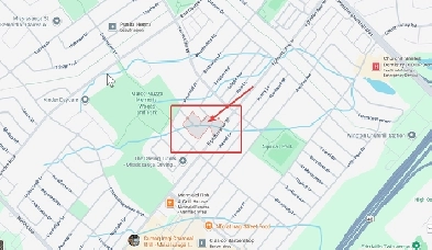 Female  Room for Rent  $850.00_Streetsville Mississauga Image# 1