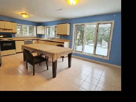 Bright Walk Out Basement for Rent