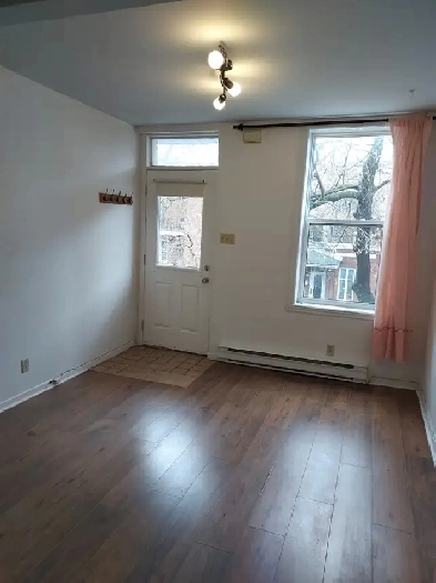 Appartement de 3 1/2 Rosemont petite Patrie, proche Masson. Image# 1