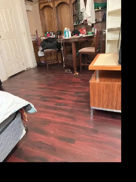 5 min walk to Whitehorn Ctrain / 15 min Downtown / Near Airport Image# 1