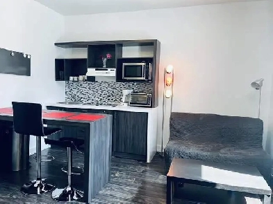 Metro Berri-UQAM studio , une chambre fermée, fevrier Image# 1