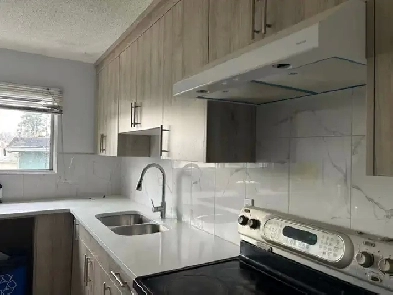 Bright room for rent in Marlborough Image# 1