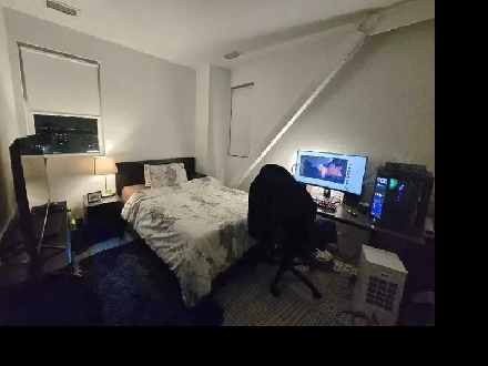 Room for Rent at Halo Apartments Image# 7