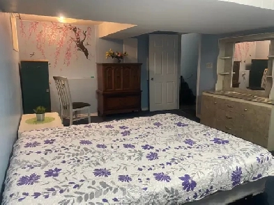 Huge BSMNT Room available on sharing in Malton From Feb 01 Image# 1