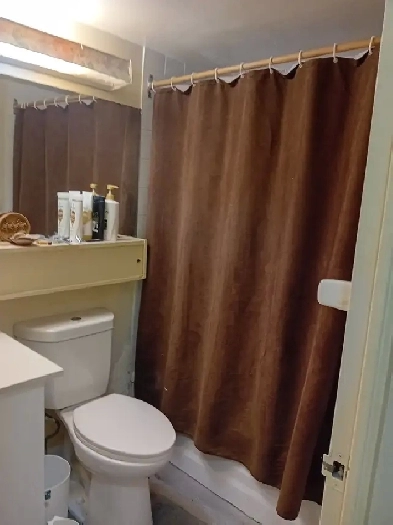 Close to Subway Downtown/UFT/York Uni ( Female Occ/Pref) Image# 1