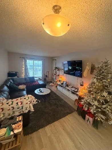 Bright 2 Bedroom 2 Bathroom Condo Image# 1