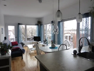 CONDO 3 1/2 Rosemont/Masson Location temporaire clés en main Image# 1