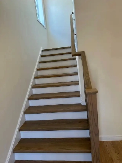 House for rent Image# 1