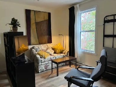 Studio location Rosemont Petite Patrie - 3 à 12 mois - for rent Image# 1