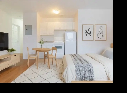 Bright Bachelor Apartment Near Downtown Sudbury Image# 1