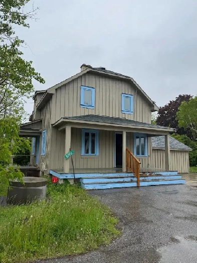 Room for Rent Image# 1