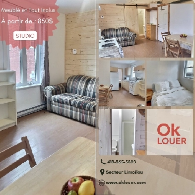 STUDIO - LIMOILOU - TOUT INCLUS ET MEUBLÉ Image# 1