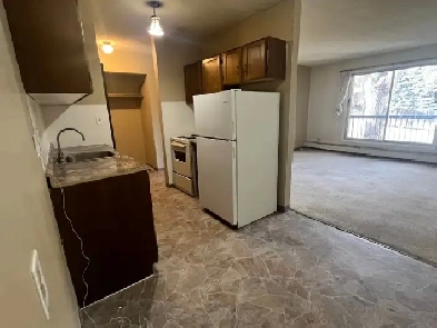 Lower mount royal 1 bedroom apart.balcony $ 1150/m  elect Image# 1