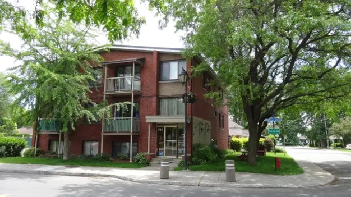 3 1/2 chauffé, rénové et frais peint à Dorval