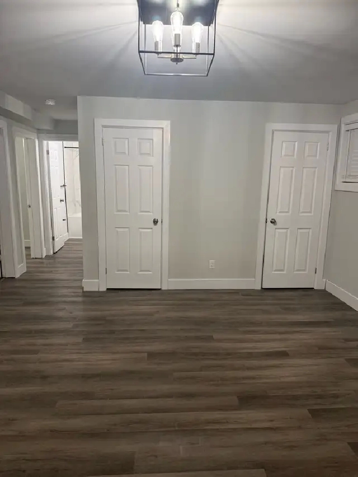 1BR Fully Renovated apartment in tri-plex (Lower Unit)