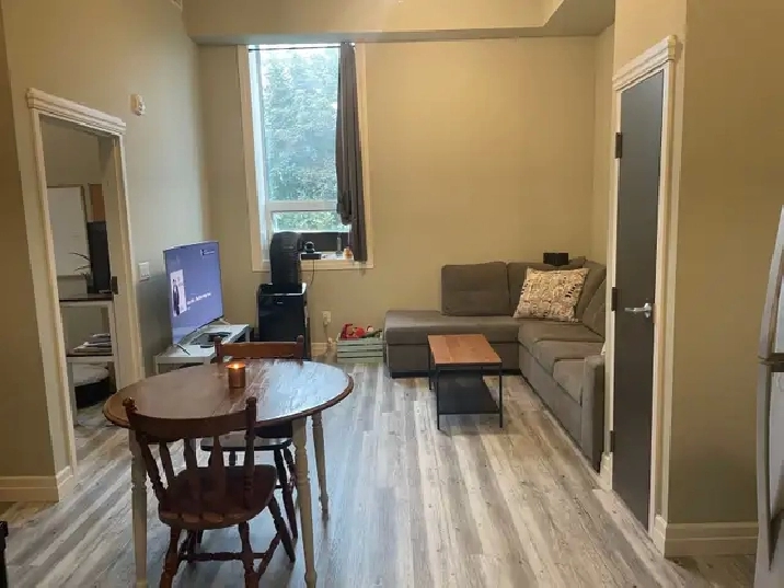 Gorgeous One Bedroom Apartment in Woodstock at HUGE Discount