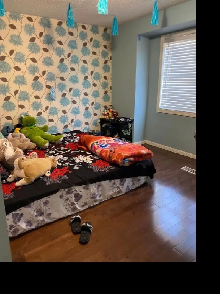 1 bedroom for rent MOVE IN READY semi detached house Brampton Image# 1