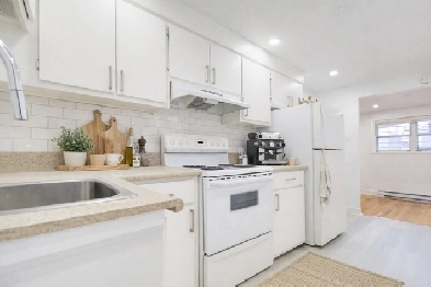 1 Bedroom Apartment | Pet-Friendly | Appliances | Storage | Yard Image# 1