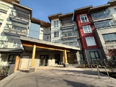 Brand New 1-Bedroom Apartment at Newton Neighborhood for Rent! Image# 9