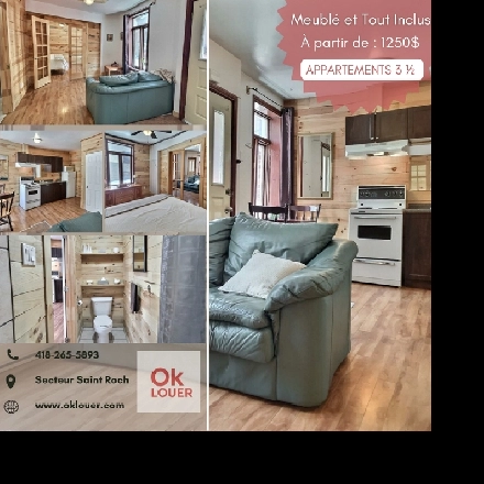 APPARTEMENT 1 CHAMBRE 3 1/2  MEUBLÉ-TOUT INCLUS, CENTRE VILLE Image# 1