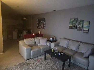 Fully Furnished 1 Bedroom Condo Downtown Image# 1