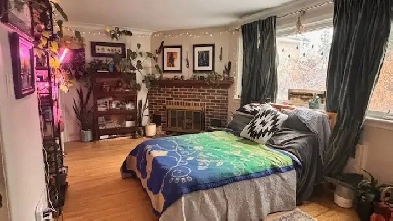 New Edinburgh large studio apt Image# 1