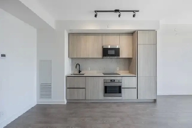 Luxury Downtown 15yr old 1 1 Condo for only 2750 per month