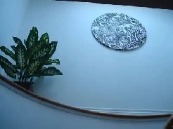 Super Clean Private Room – Near TTC– Feb 1 Image# 1