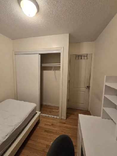 Room for rent near YorkVillage/Finch west Subway Image# 1