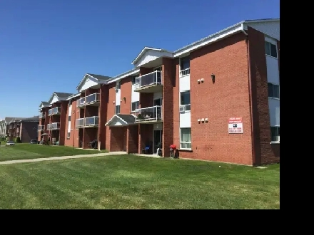 3 1/2 a louer- Granby Rue Simonds sud Image# 6