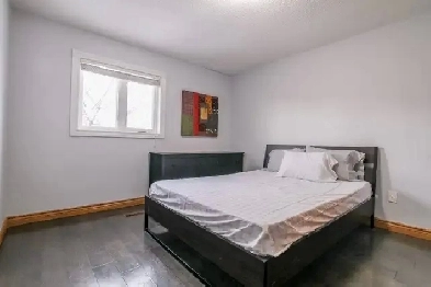 Room available near Sheridan college Brampton Image# 1