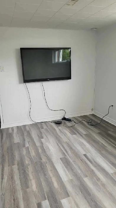 Appartement 1 chambre à Louer- Gatineau secteur Gatineau Image# 1