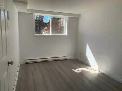 NDG Spacious Open 4 1/2 - basement Image# 1