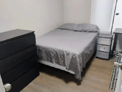 Immed/Feb1-Bank/Hunt Club-15m/Carleton-20m/Ottawa U-Furn,VIDEOI Image# 1