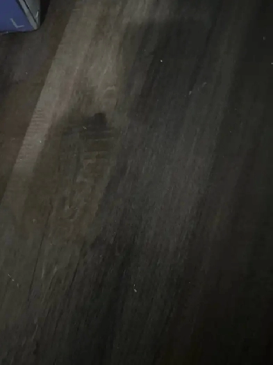 Looking house on rent