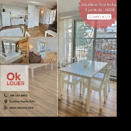 CONDO LIBRE MEUBLÉ-TOUT INCLUS 3 1/2, Montcalm St Jean Baptiste. Image# 1