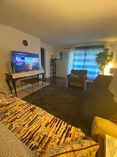 3 bedroom  or full house avalible for rent with big living