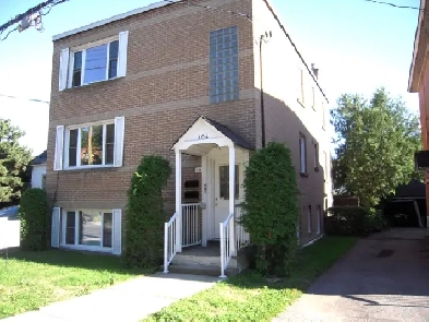 Triplex 2 bedroom hardwood floors - New Edinburgh / Lindenlea Image# 1